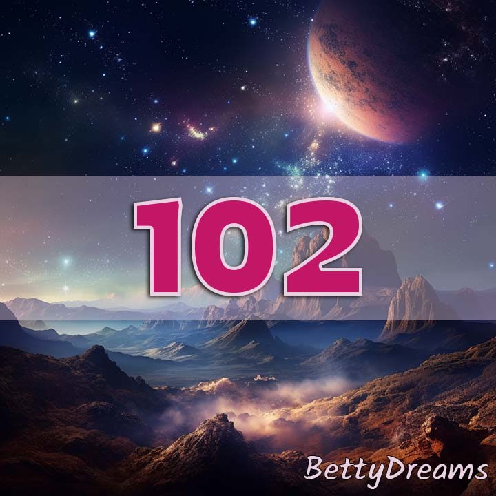 102 Numerology