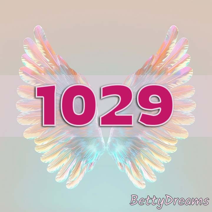 1029 in Numerology