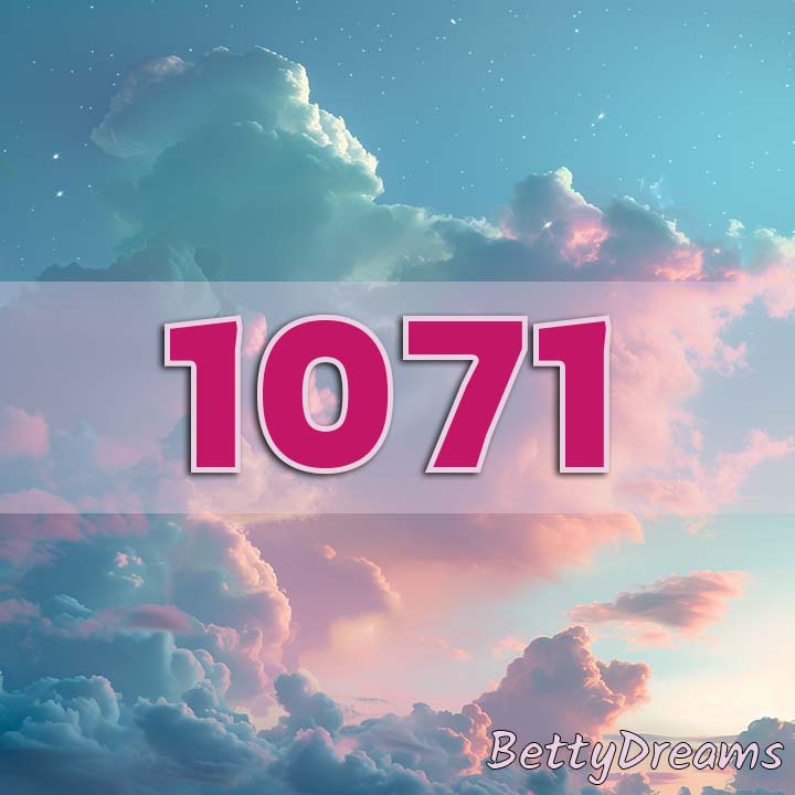 1071 in Numerology