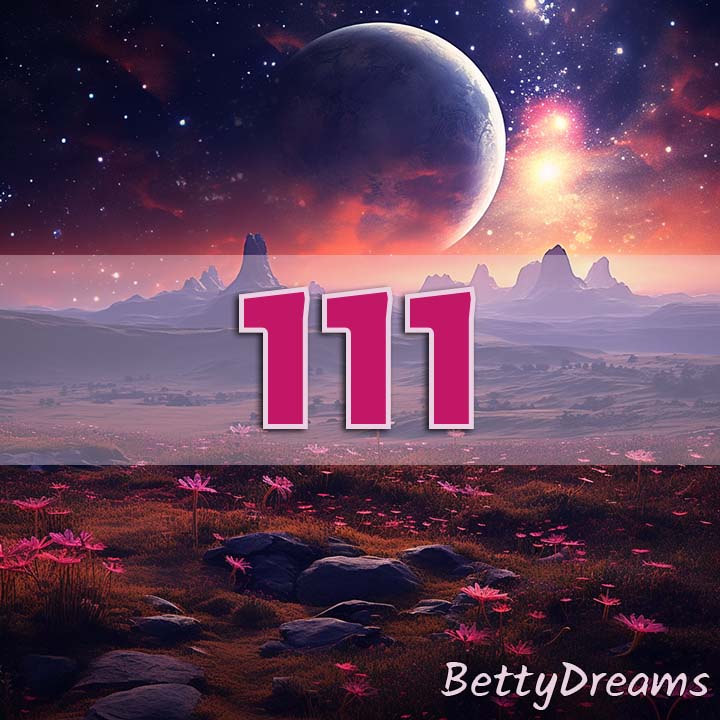 111 life