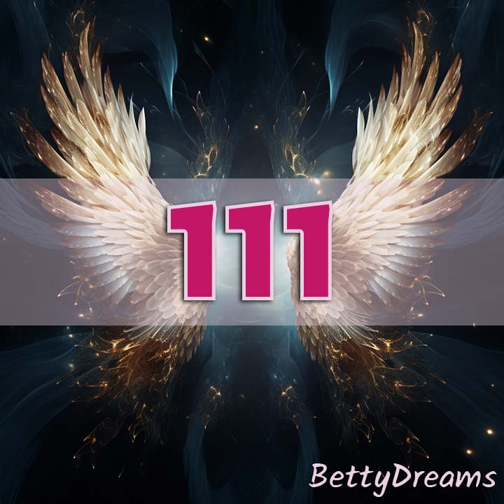 111 love