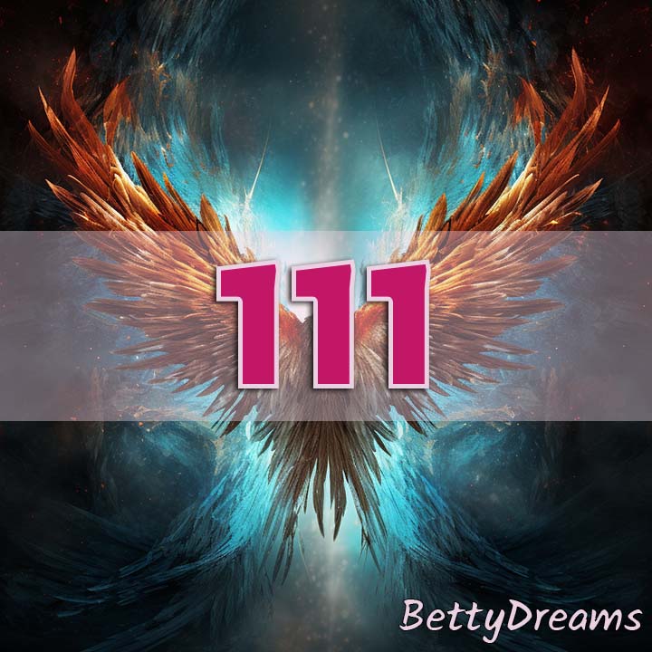 111 number