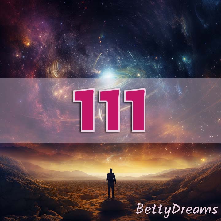 111 twin flame