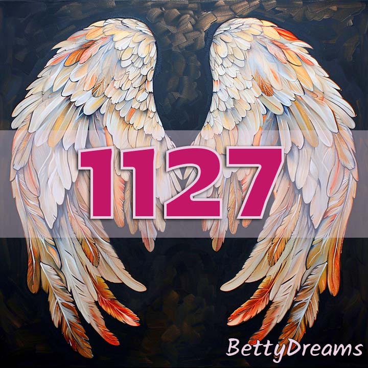 1127 in Numerology