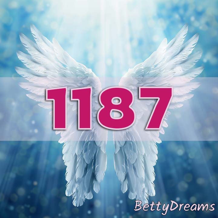 1187 in Numerology
