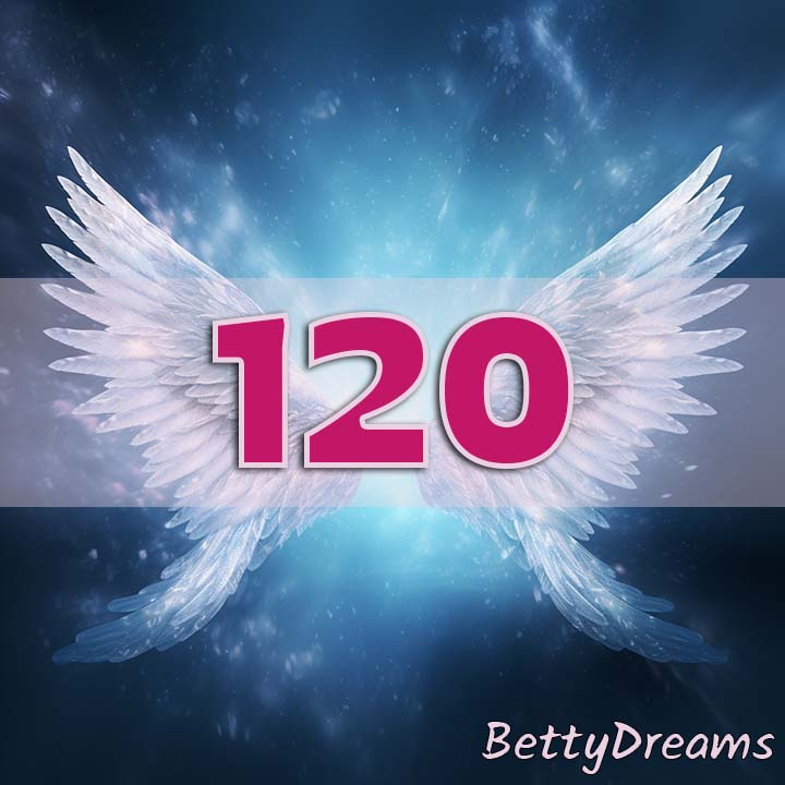 120 decisions
