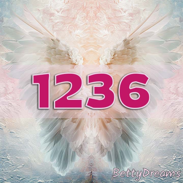1236 in Numerology