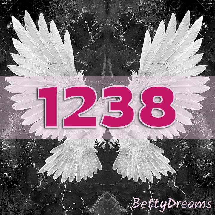 1238 in Numerology