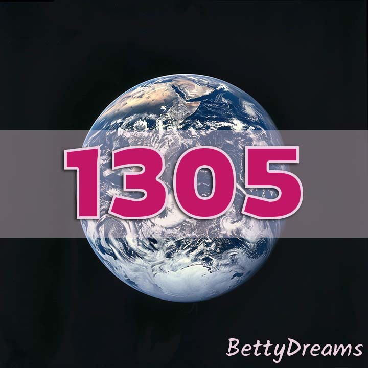 1305 Angel Number Twin Flame