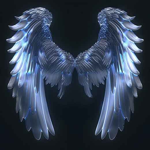 1311 angel number