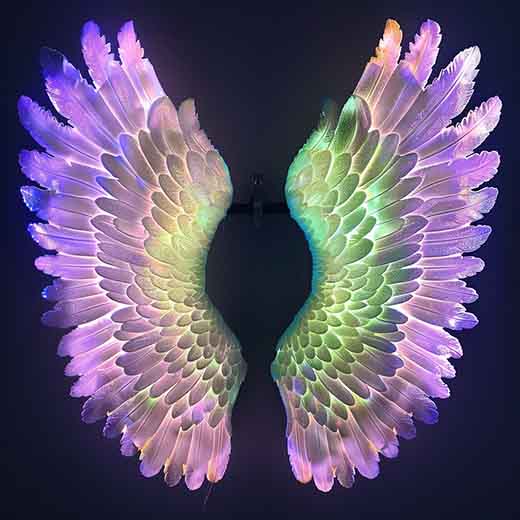 1312 angel number