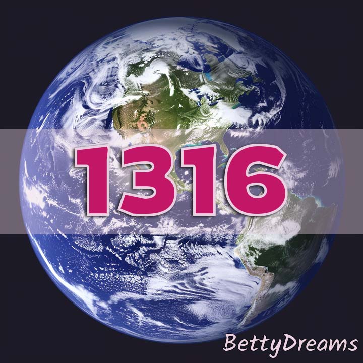 1316 Angel Number Twin Flame