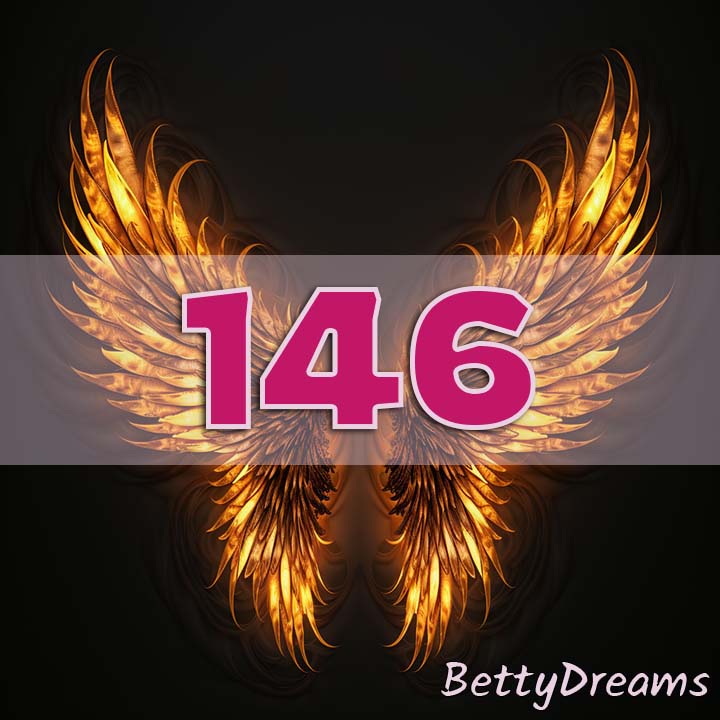 146 career