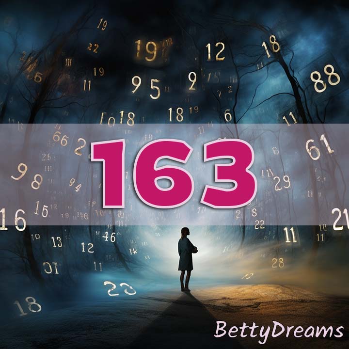 163 twin flame