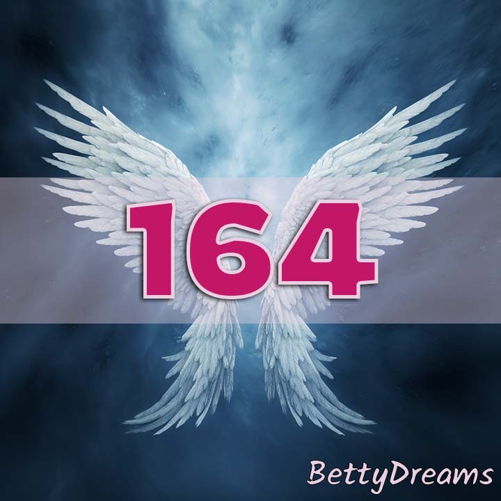 164 Numerology