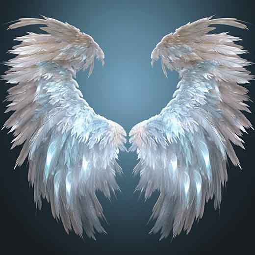 186 angel number