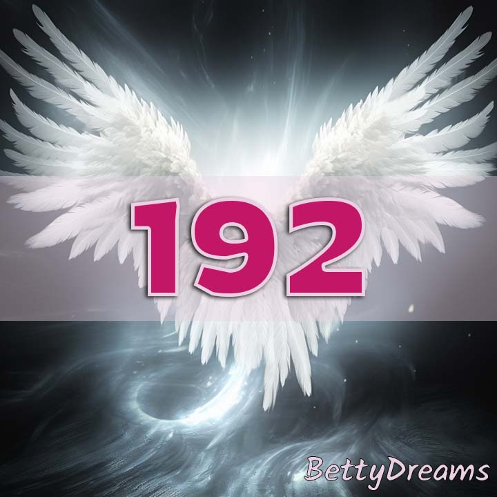 192 Angel Number Twin Flame