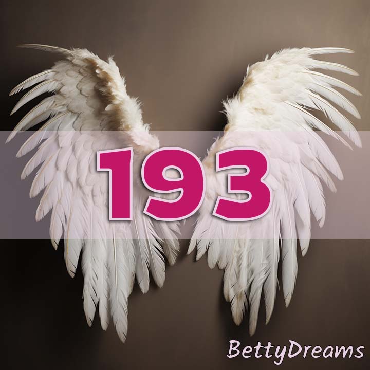 193 angel number