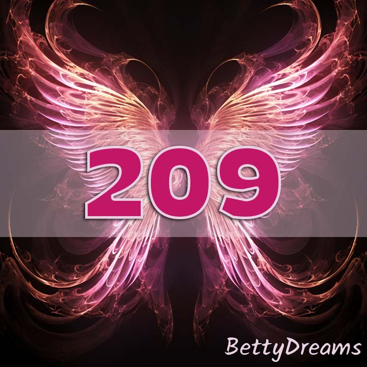 209 in Numerology