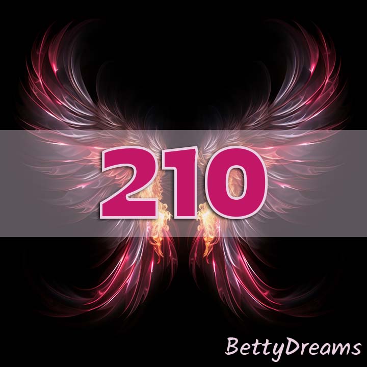 210 in Numerology