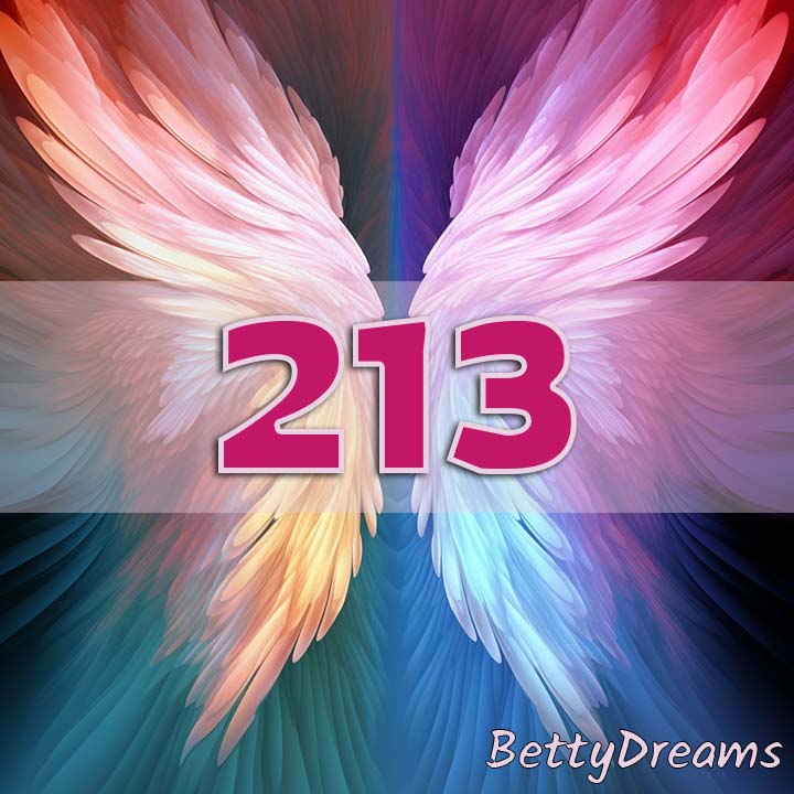 213 Angel Number Twin Flame
