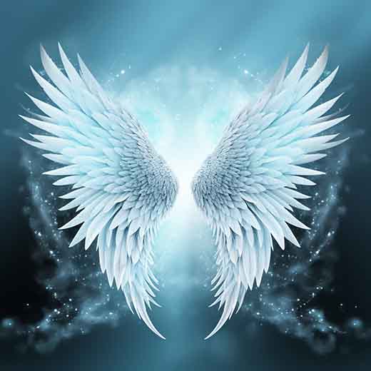 216 angel number