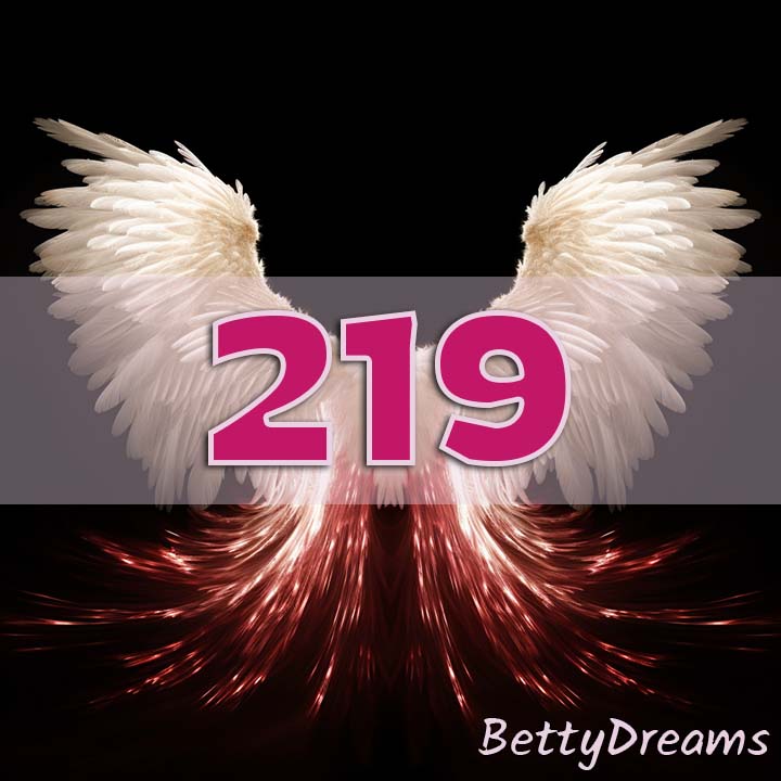 219 Angel Number Family Dynamics