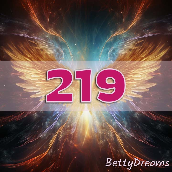 219 angel number meaning
