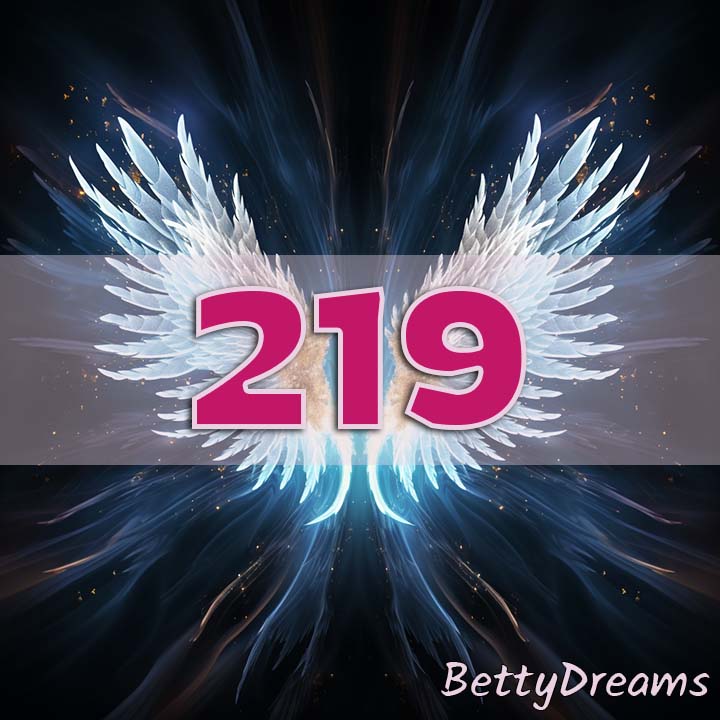 219 in Numerology