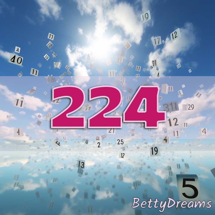224 in Numerology