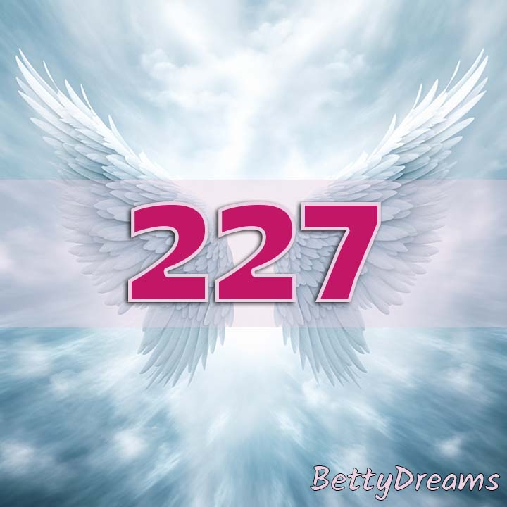227 Angel Number Family Dynamics