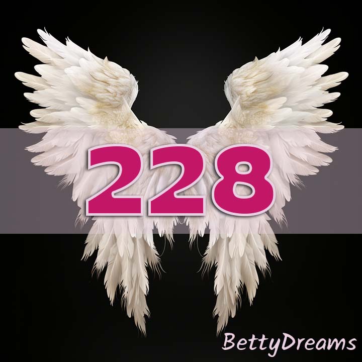 228 in Numerology