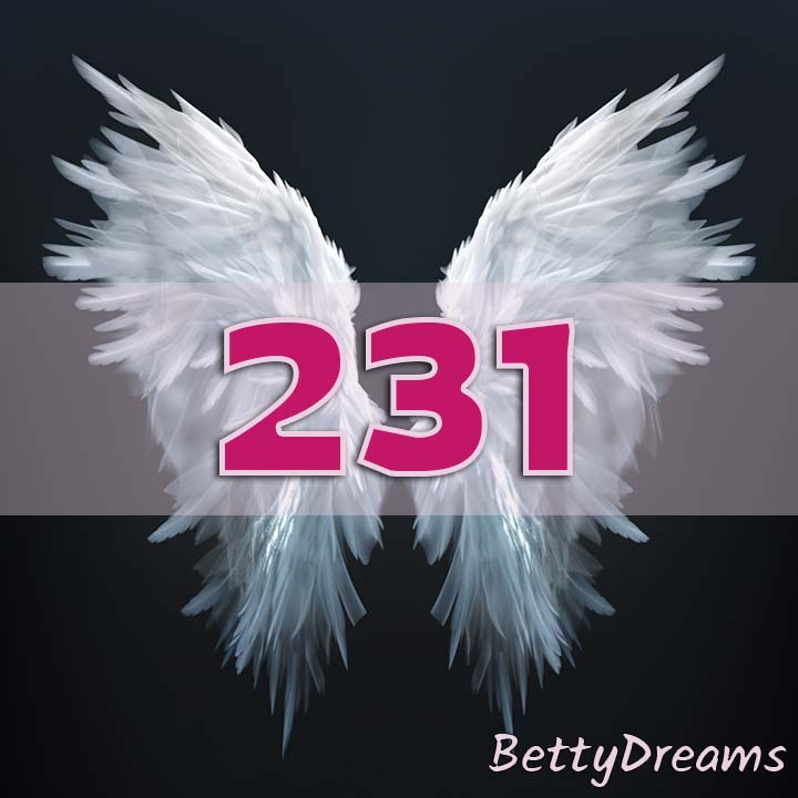 231 in Numerology