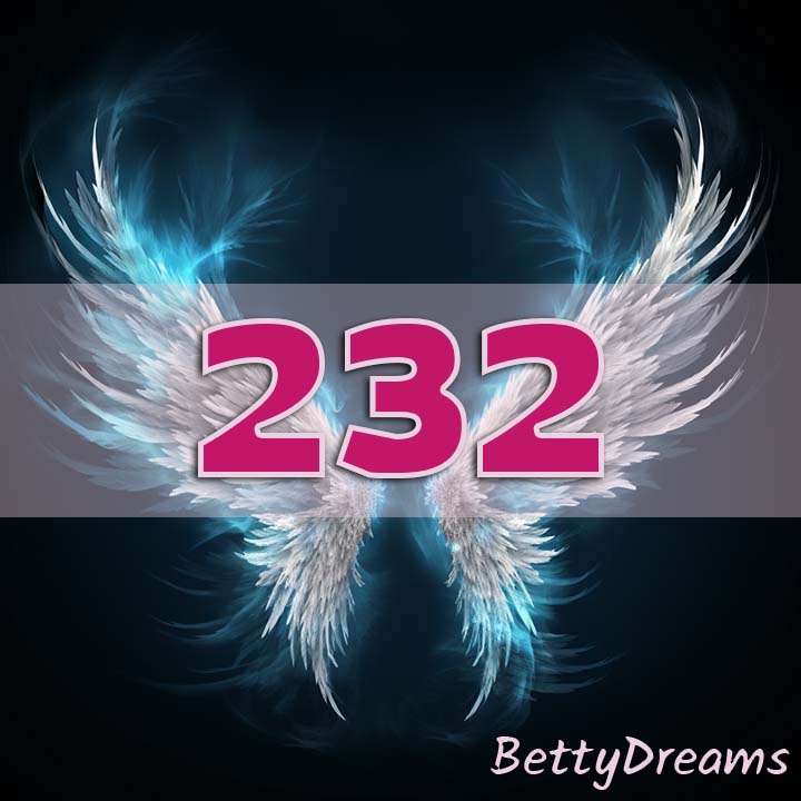 232 meaning