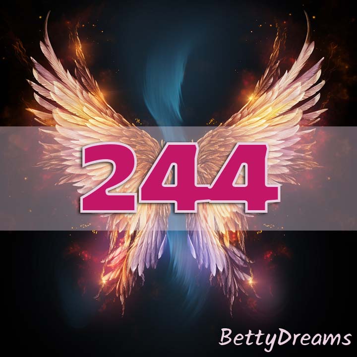 244 Angel Number Fears