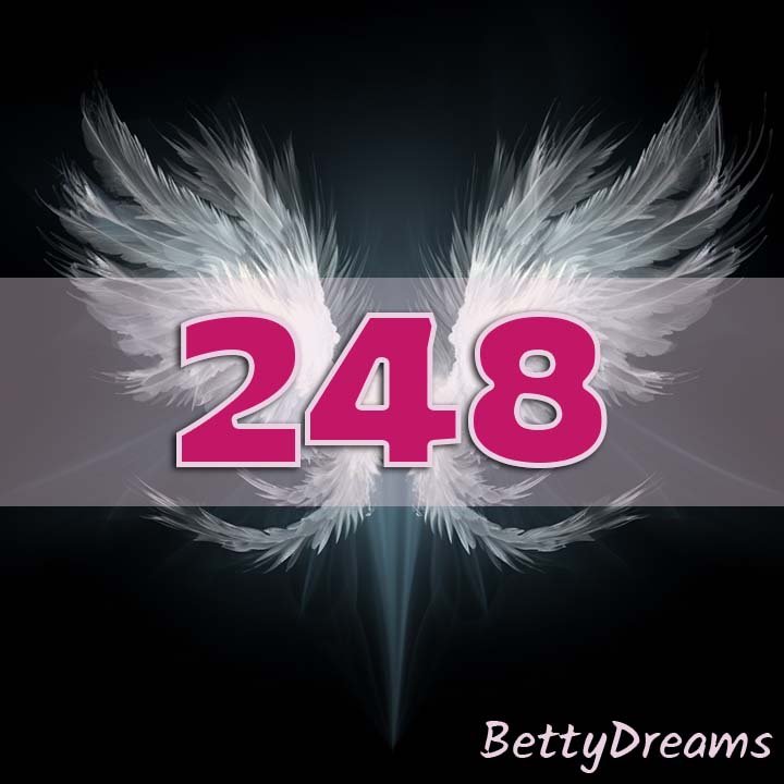 248 Angel Number Life Purpose