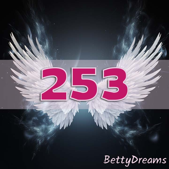 253 Angel Number Twin Flame