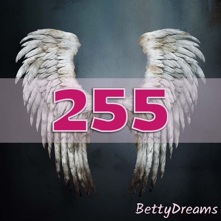255 Angel Number Decision Making and Choices