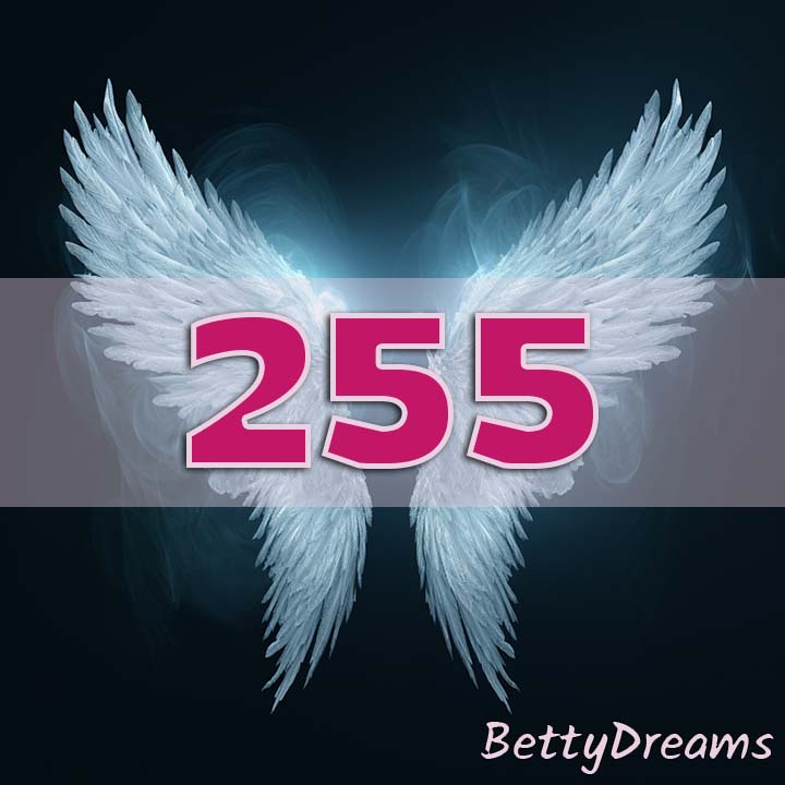 255 Angel Number Fears