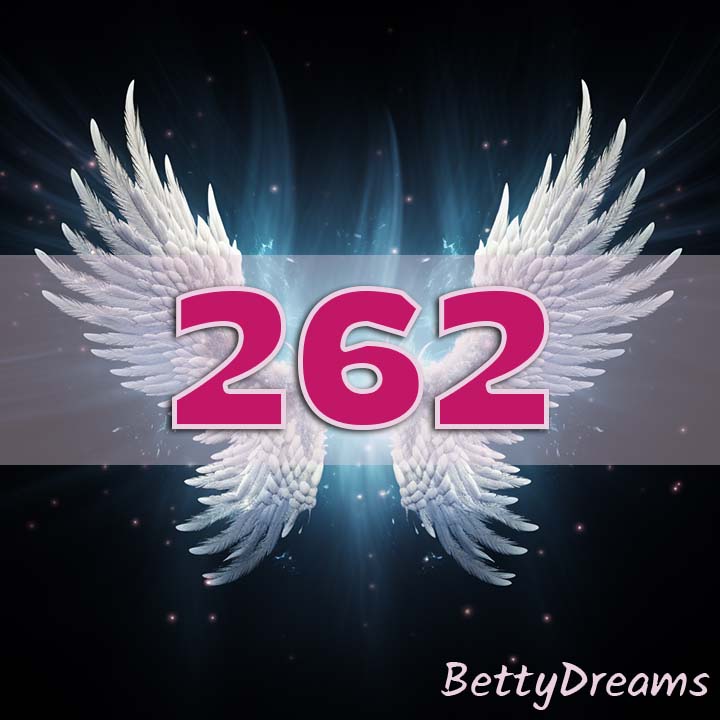 262 in Numerology