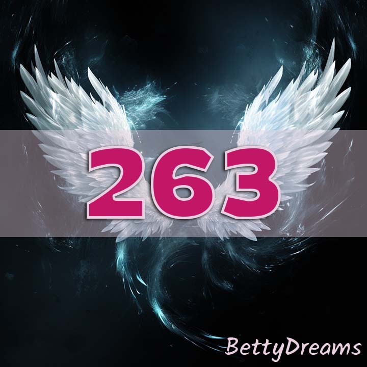 263 Angel Number Twin Flame