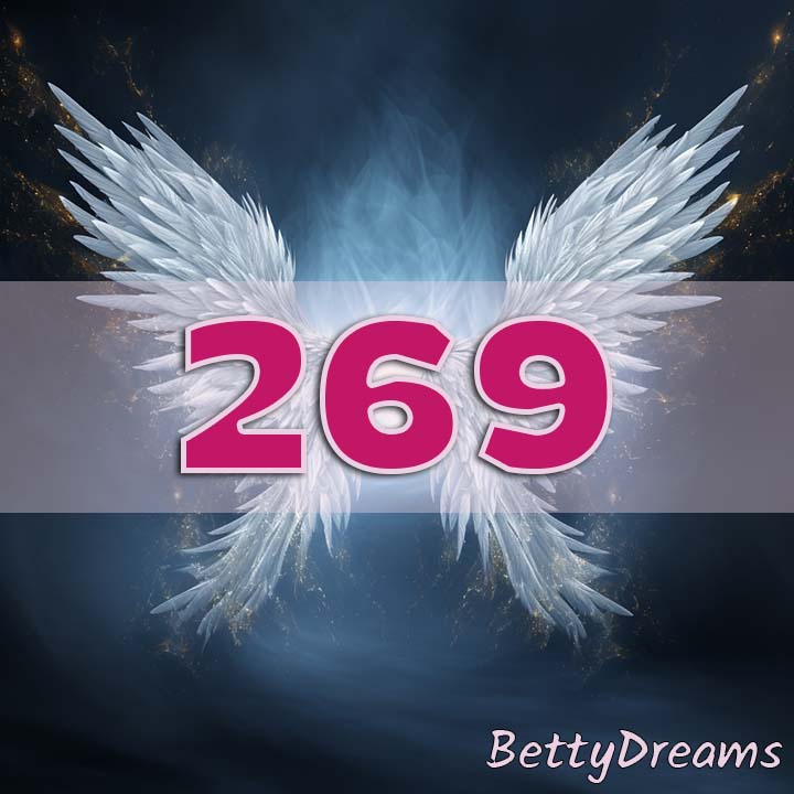 269 Angel Number Twin Flame