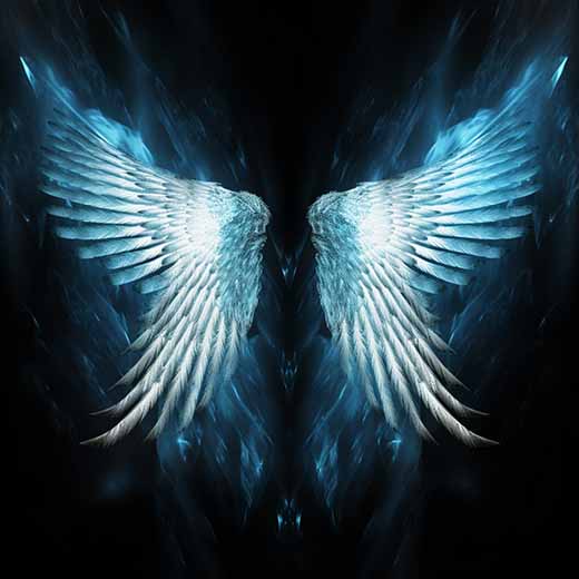 279 Angel Number: Surprising & Powerful Meanings | BettyDreams