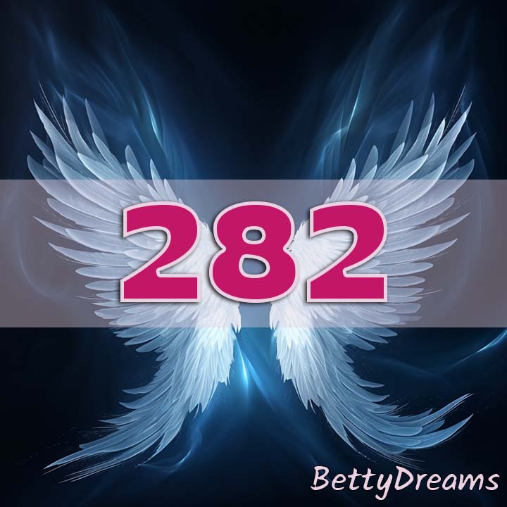 282 Angel Number Twin Flame