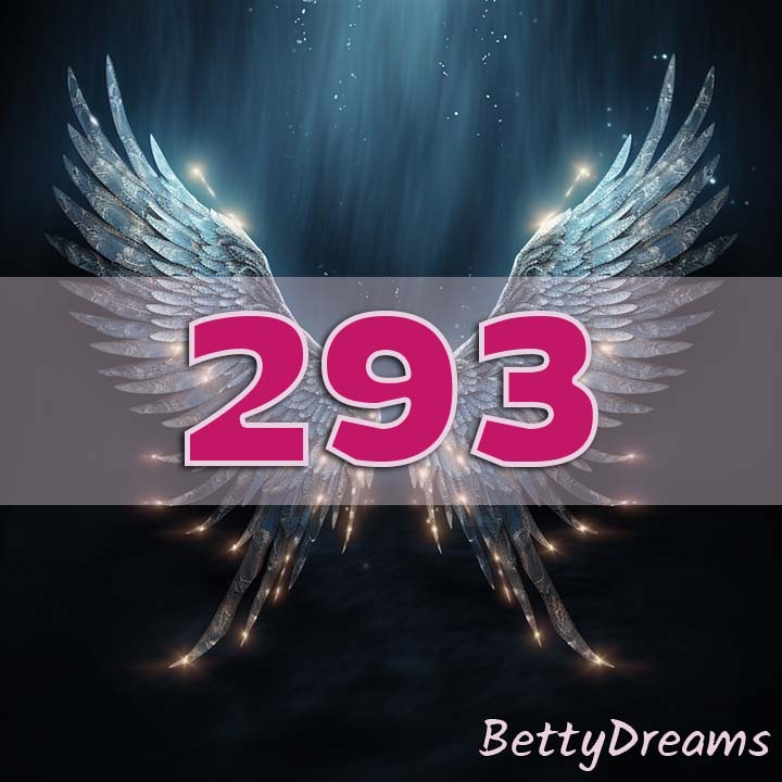 293 Angel Number Career