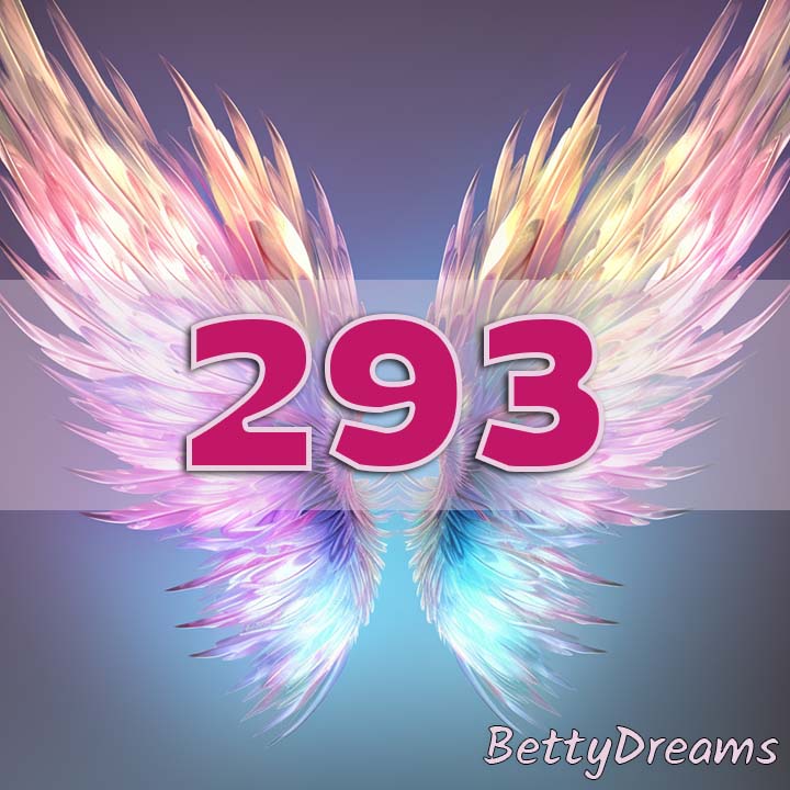 293 angel number