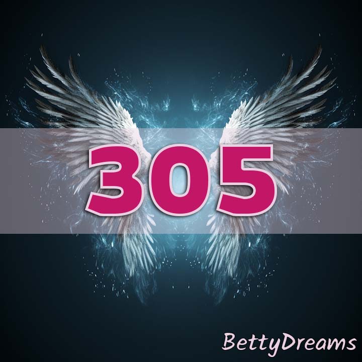 305 in Numerology