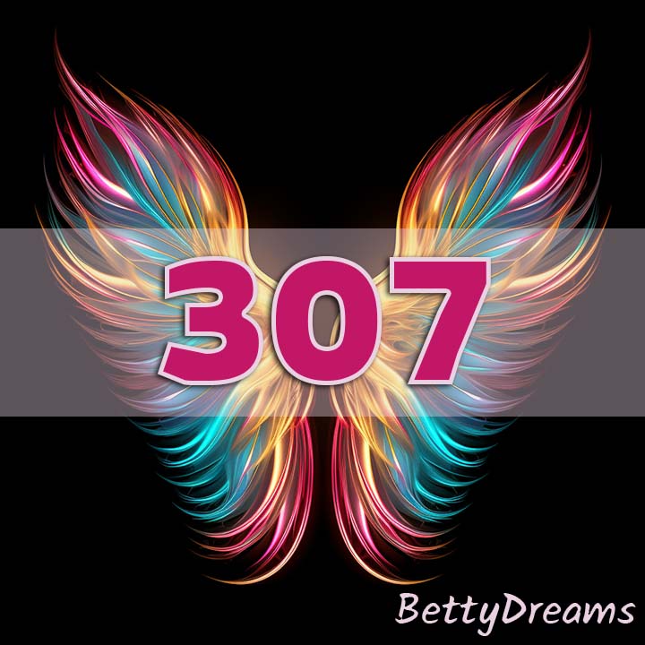 307 Angel Number Twin Flame