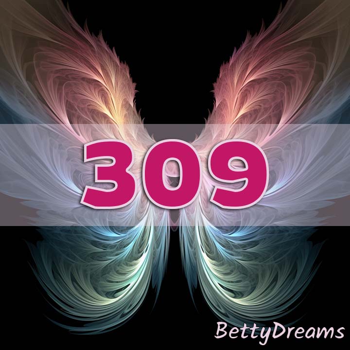 309 Angel Number Twin Flame