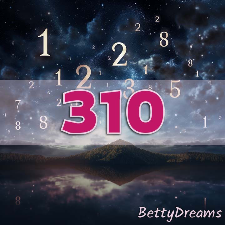 310 Angel Number Fears